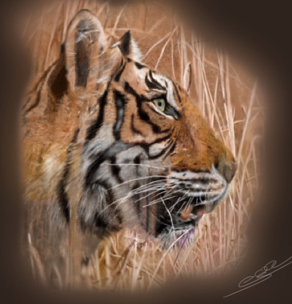 44 A great cat.jpg